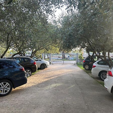 Apartment Dario ザダル エクステリア 写真